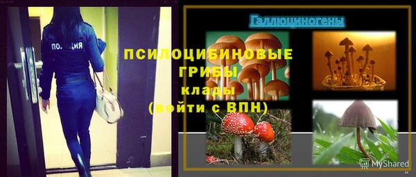 ECSTASY Алексин